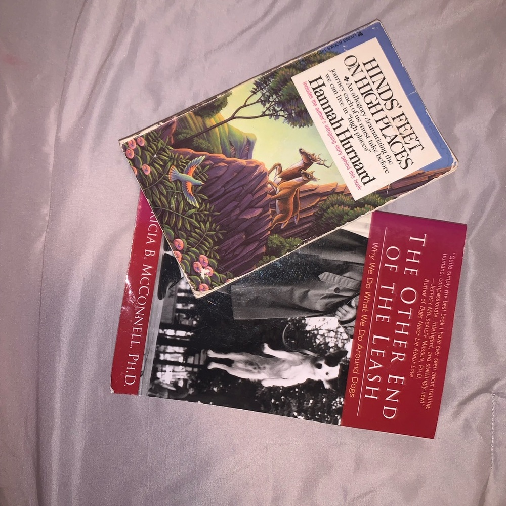 ANTIQUE BOOKS COMES OF TWO